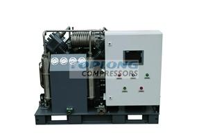 Advanced Technology Good Price Compressor CO2 G2VCW-10/0.2-200